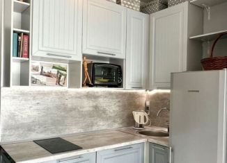 Сдача в аренду квартиры студии, 28.4 м2, Санкт-Петербург, Варшавская улица, 19к5