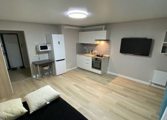 Сдается в аренду квартира студия, 30 м2, Республика Башкортостан, улица Машинистов, 4