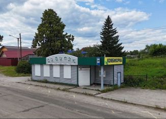 Продаю торговую площадь, 170 м2, Кыштым, улица Мамина-Сибиряка, 53