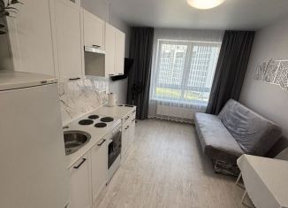 Сдается квартира студия, 27 м2, Республика Башкортостан, улица Рудольфа Нуреева, 5