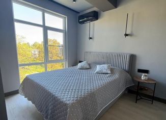 Квартира в аренду студия, 34 м2, Сириус, Цветочная улица, 44/2