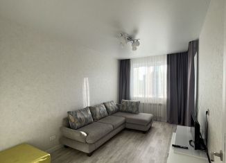 Сдается в аренду 1-комнатная квартира, 35.8 м2, Йошкар-Ола, улица Петрова, 27Б, микрорайон Молодёжный