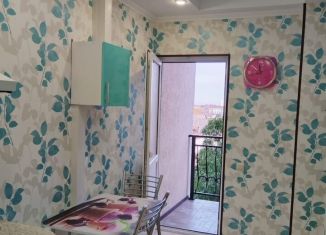 Сдаю в аренду 1-ком. квартиру, 34 м2, Сочи, Черниговская улица, 62, микрорайон Черемушки