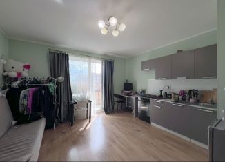 Продажа квартиры студии, 25.2 м2, Мурино, улица Шоссе в Лаврики, 59к1