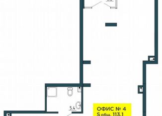 Продаю помещение свободного назначения, 113.1 м2, Пермь, улица Газеты Звезда, 5