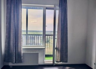 Квартира на продажу студия, 24.7 м2, Санкт-Петербург, Верхне-Каменская улица, 11к1, муниципальный округ Коломяги