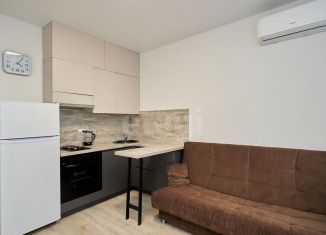 Продаю квартиру студию, 20 м2, Тюмень, улица Тимофея Чаркова, 87