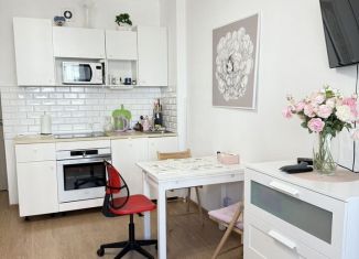 Квартира в аренду студия, 24.6 м2, Санкт-Петербург, проспект Ветеранов, 169к3, Красносельский район