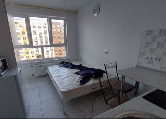 Сдаю квартиру студию, 19 м2, деревня Глухово, Романовская улица, 17, ЖК Новая Рига