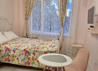 Сдаю в аренду квартиру студию, 18 м2, Сестрорецк, улица Борисова, 8к1