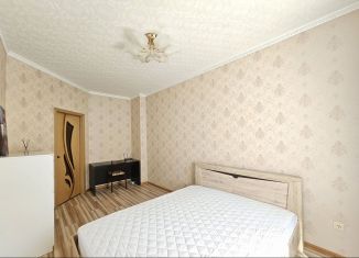 Сдается 1-ком. квартира, 37 м2, Санкт-Петербург, Коломяжский проспект, 15к1