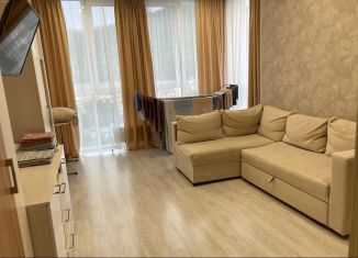 Сдается в аренду 1-ком. квартира, 45 м2, село Небуг, улица Газовиков, 3А/1