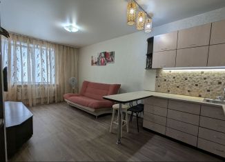 Сдаю квартиру студию, 36.7 м2, Новосибирск, улица Татьяны Снежиной, Октябрьский район