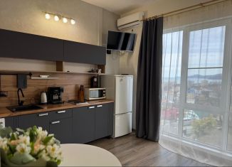 Аренда квартиры студии, 22 м2, Сочи, Православная улица, 20/2, микрорайон Энергетик-Изумруд