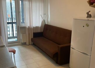 Аренда 1-комнатной квартиры, 36 м2, Котельники, Сосновая улица, 1к4