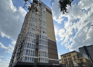 Сдается помещение свободного назначения, 38 м2, Ростов-на-Дону, Горсоветская улица, 77, Пролетарский район