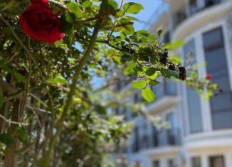 Сдается в аренду квартира студия, 30 м2, Сириус, Перелётная улица, 24