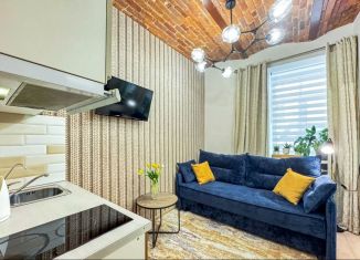 Сдам квартиру студию, 14 м2, Санкт-Петербург, улица Пестеля, 5