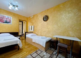 1-комнатная квартира в аренду, 25 м2, Сочи, Киевская улица, 20, микрорайон Голубые Дали