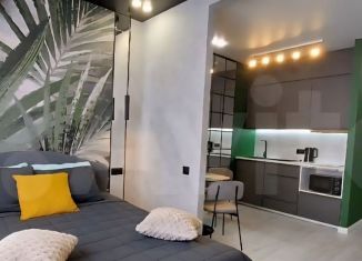 Сдача в аренду квартиры студии, 30 м2, Краснодар, улица Григория Булгакова, 6, микрорайон Достояние