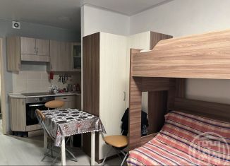 Продам квартиру студию, 24 м2, Мурино, Петровский бульвар, 7, ЖК Ласточка