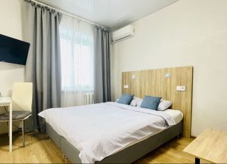 Квартира в аренду студия, 37 м2, Республика Башкортостан, улица Менделеева, 128к1