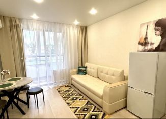 Аренда 1-ком. квартиры, 36 м2, Республика Башкортостан, улица Даяна Мурзина, 5