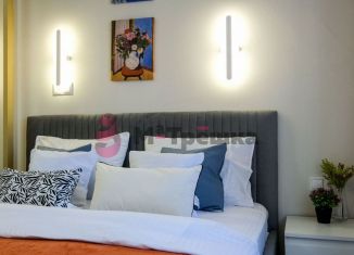 Сдача в аренду квартиры студии, 26 м2, Котельники, улица Строителей, 3