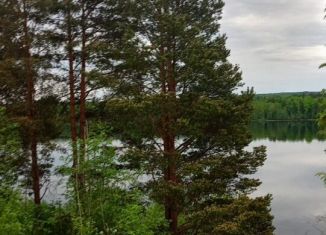 Продажа земельного участка, 13 сот., деревня Пидьма