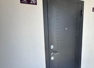 Продам квартиру студию, 19.6 м2, Сочи, Фермерский переулок, 24/1, микрорайон Энергетик-Изумруд