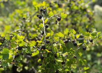 Дача на продажу, 30 м2, Старый Оскол, улица Марышкин Лог