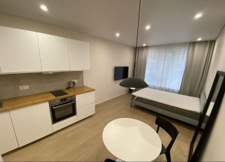 Сдача в аренду квартиры студии, 25 м2, Екатеринбург, улица Шаумяна, 20, ЖК Южные Кварталы