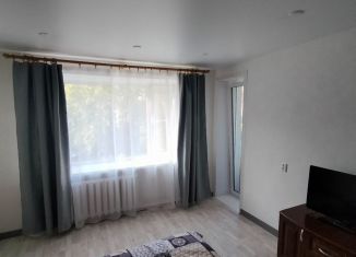 Продажа однокомнатной квартиры, 30 м2, Великие Луки, улица Дьяконова, 2