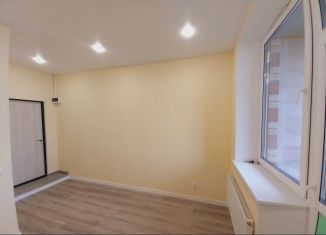 Продается квартира студия, 19.1 м2, деревня Ивановское, улица Семёна Гордого, 10