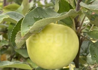 Продается дача, 17 м2, Тюмень, улица Квадрат, 417