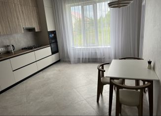 Сдается дом, 100 м2, село Дивеево, улица Илюшина, 9