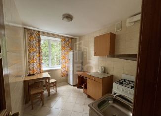 Сдам 1-ком. квартиру, 32 м2, Санкт-Петербург, проспект Энгельса, 63к2