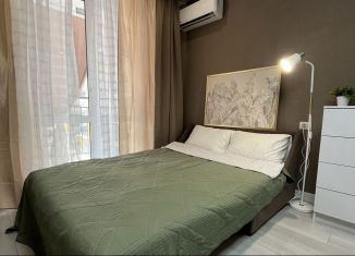 Сдается квартира студия, 28 м2, Сочи, улица Искры, 88к2, микрорайон Кудепста