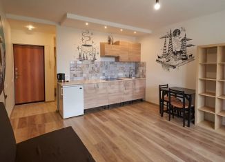 Продается квартира студия, 26.7 м2, Кудрово, Европейский проспект, 13к5, ЖК Прогресс