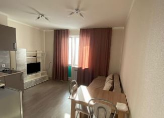 Сдается в аренду квартира студия, 22 м2, Республика Башкортостан, улица Конституции, 5/1