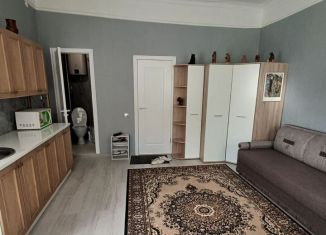 Сдам в аренду квартиру студию, 25 м2, Ярославль, улица Волкова, 3