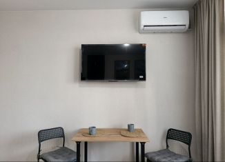 Продажа квартиры студии, 25 м2, Ростов-на-Дону, Пролетарский район, улица 26-я Линия, 35/2