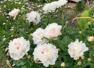 Продам дачу, 23 м2, Протвино