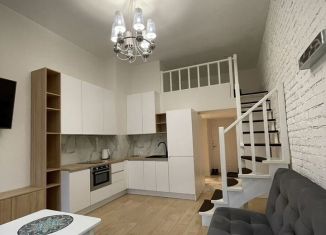 Сдам в аренду квартиру студию, 33 м2, Санкт-Петербург, улица Тюшина, 24