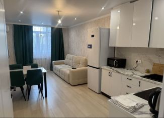 Аренда квартиры студии, 28 м2, Ростов-на-Дону, улица Оганова, ЖК Сокол на Оганова