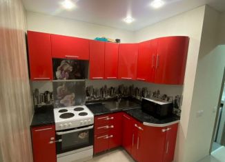 Продается квартира студия, 26 м2, село Зубово, улица Бориса Перина, 6