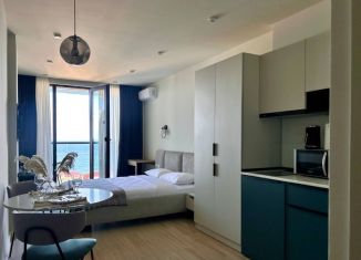 Продается квартира студия, 23 м2, Сочи, улица Просвещения, 32, микрорайон Центральный