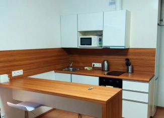 Сдам квартиру студию, 25 м2, Санкт-Петербург, 5-й Предпортовый проезд, 2, 5-й Предпортовый проезд