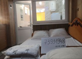 Аренда коттеджа, 17 м2, Крым, улица Гоголя, 1/10