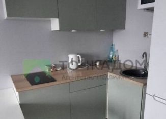 Продается квартира студия, 27.9 м2, посёлок Шушары, Валдайская улица, 6к2